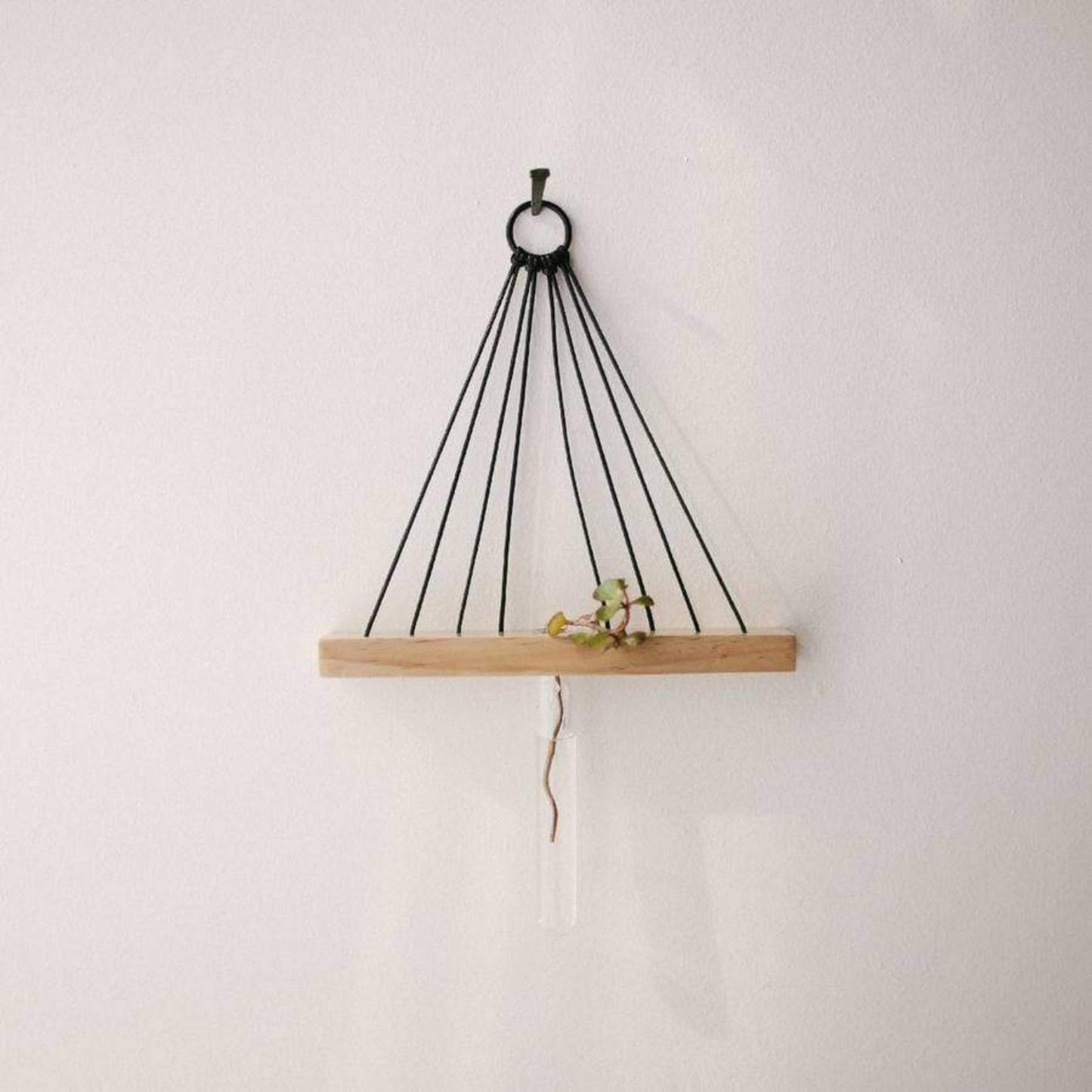 Sun Ray Hanging Vessel