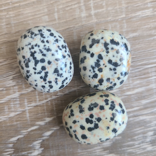 Dalmation Jasper