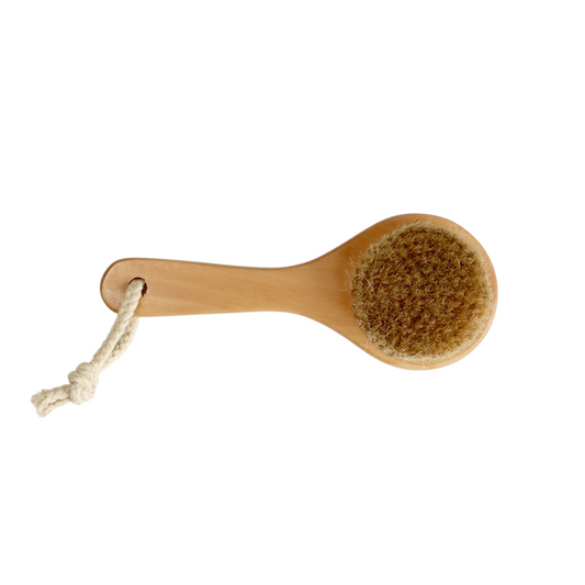 Short Handle Body Brush